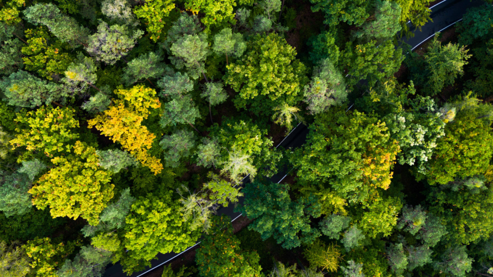 ISO 14064
