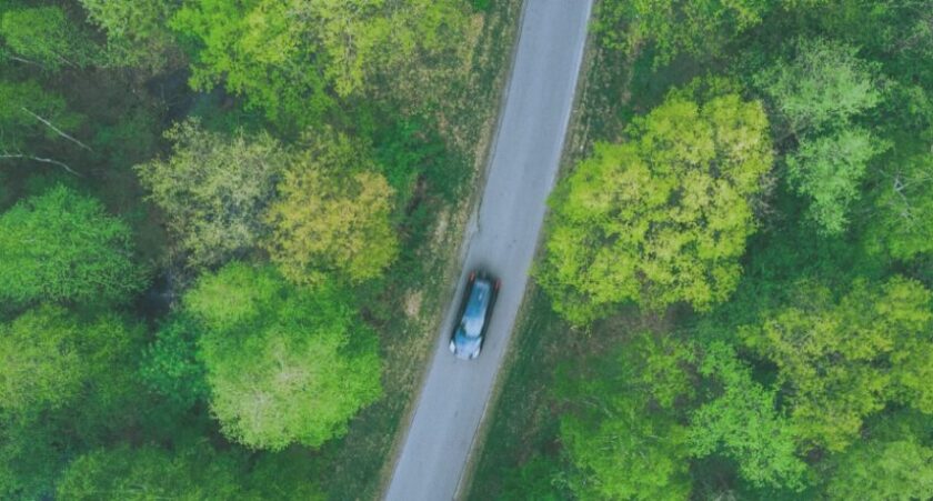 Interface Insights Driving innovation in sustainable forestry through FSC® certification