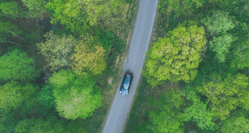Interface Insights Driving innovation in sustainable forestry through FSC® certification