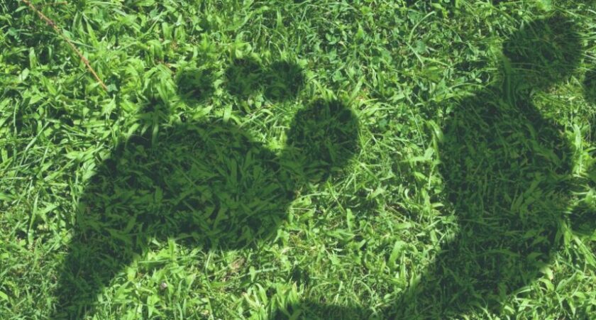 Interface Insights Industry-wide impact of ISO 14001 on environmental footprint reduction