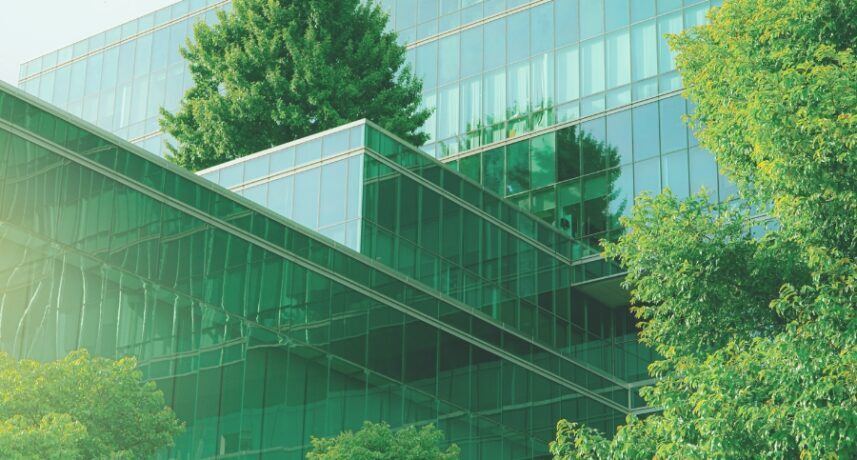 Interface Insights Transforming business sustainability the role of PEFC certification
