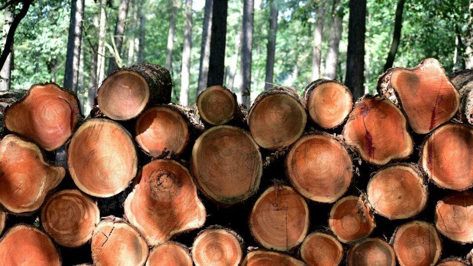 FSC CERTIFICATION